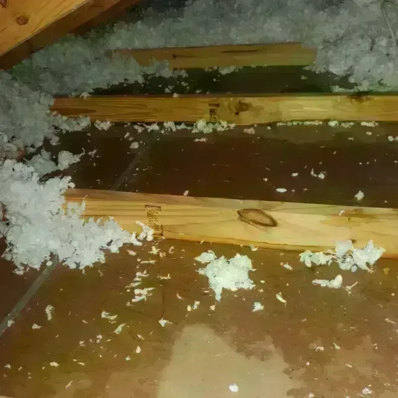 Attic Water Damage in Spindale, NC